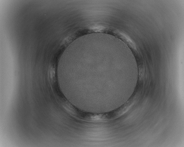 X0000113100365200908281352