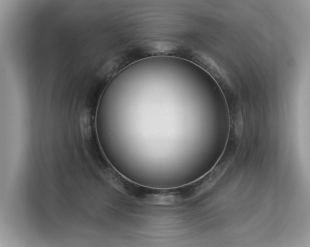 X0000113100366200908281352