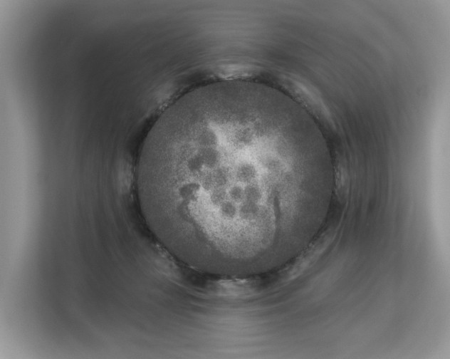 X0000113100367200908281352