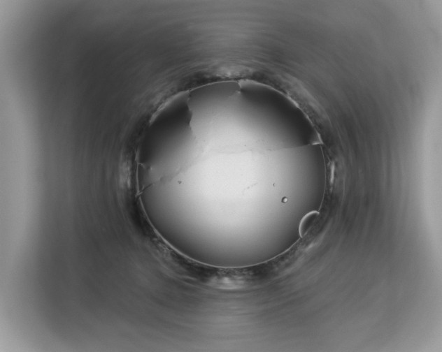 X0000113100368200908281352