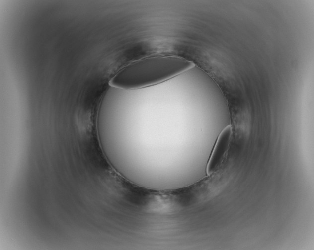 X0000113100372200908281353