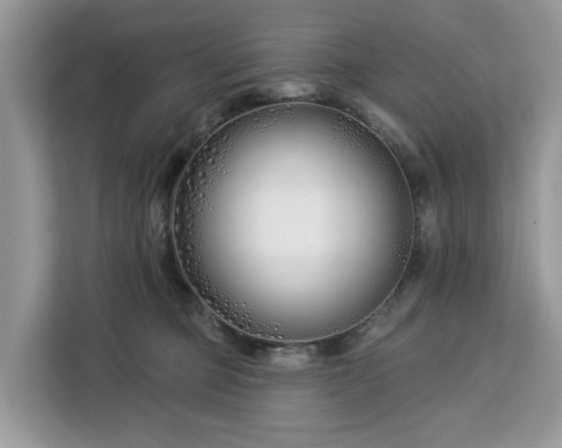 X0000113100373200908281353