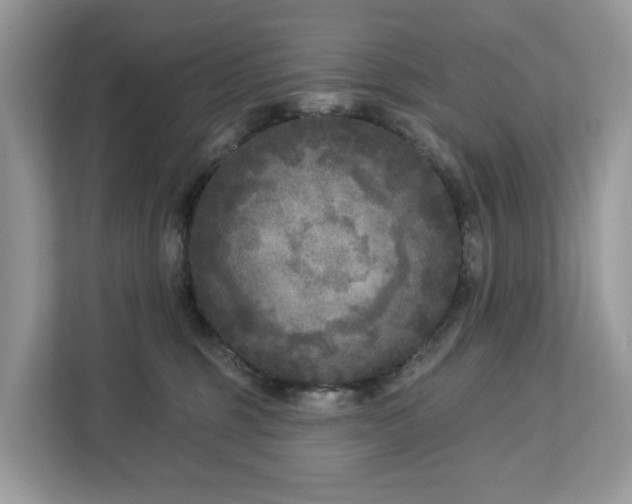 X0000113100375200908281353