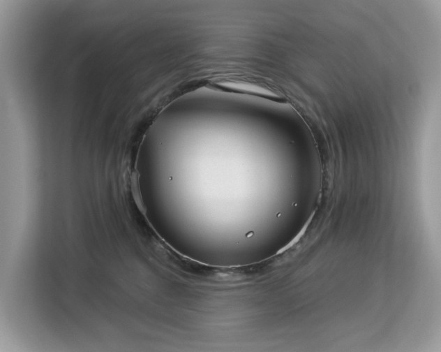 X0000113100376200908281353