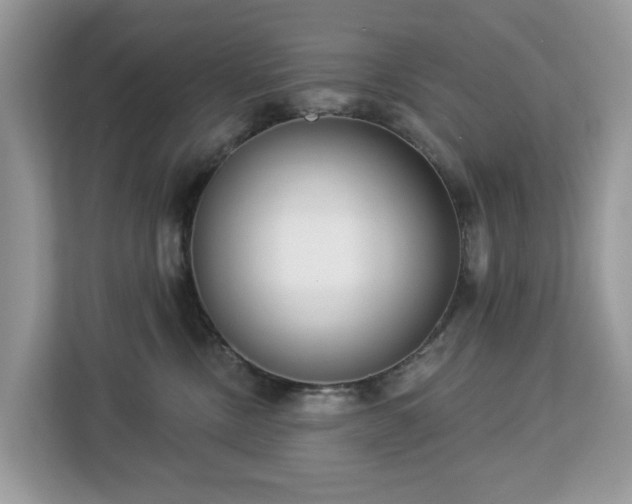 X0000113100378200908281353