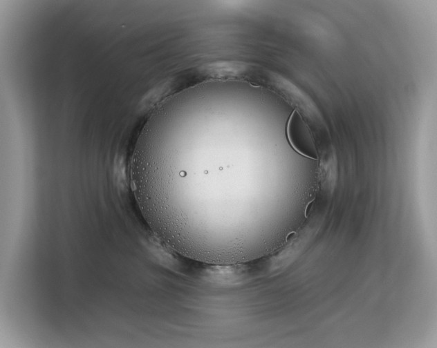 X0000113100381200908281353