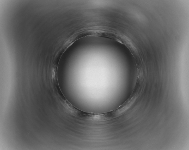 X0000113100382200908281353