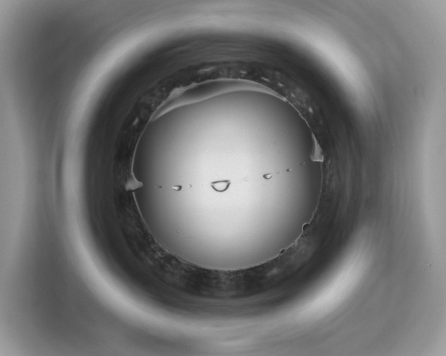X0000113100383200908281353