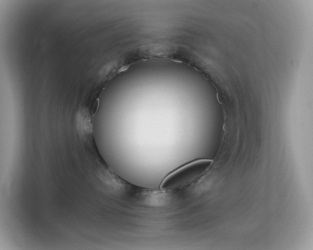 X0000113100384200908281353