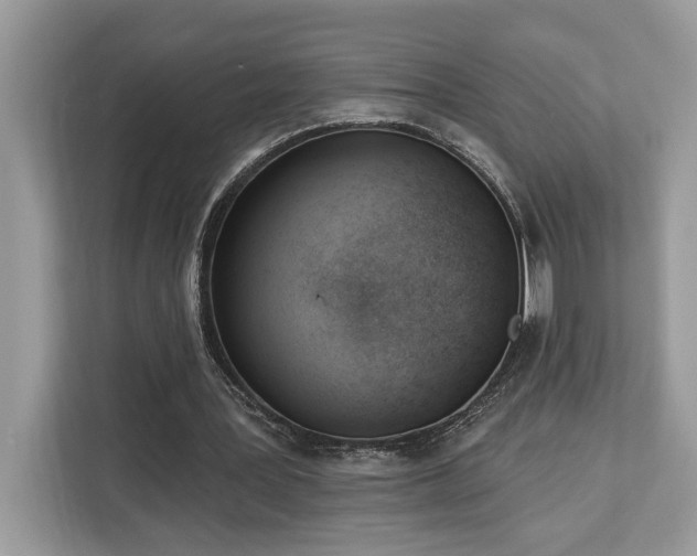 X0000113100387200908281352