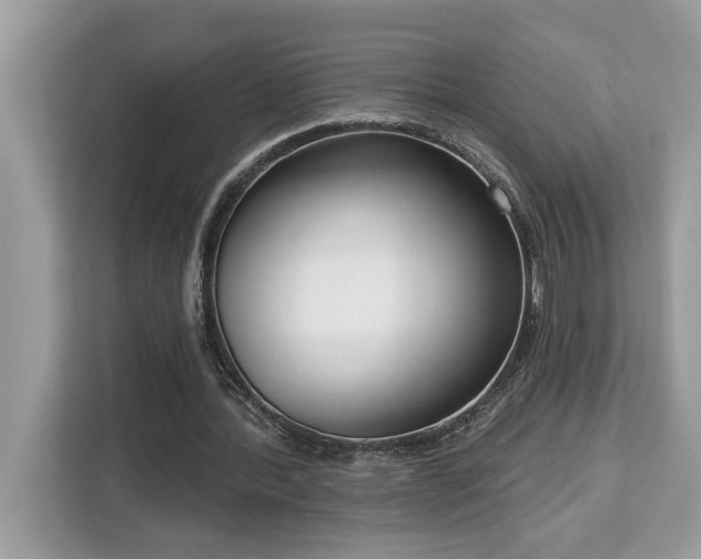 X0000113100388200908281352