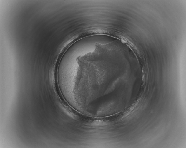 X0000113100390200908281352