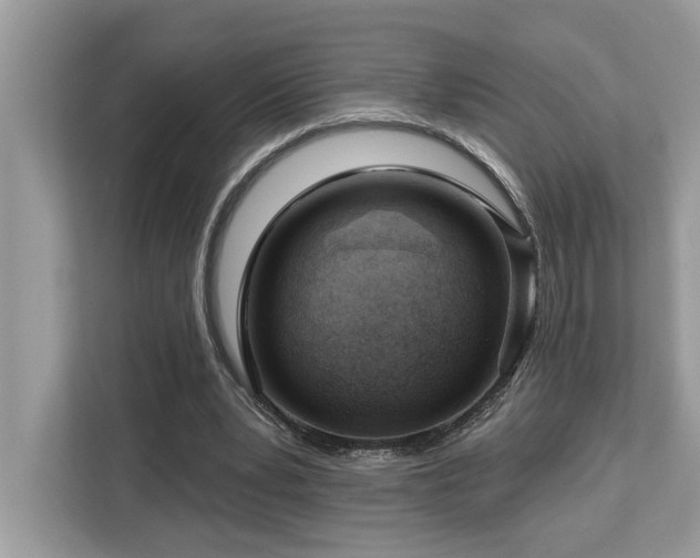 X0000113100391200908281352