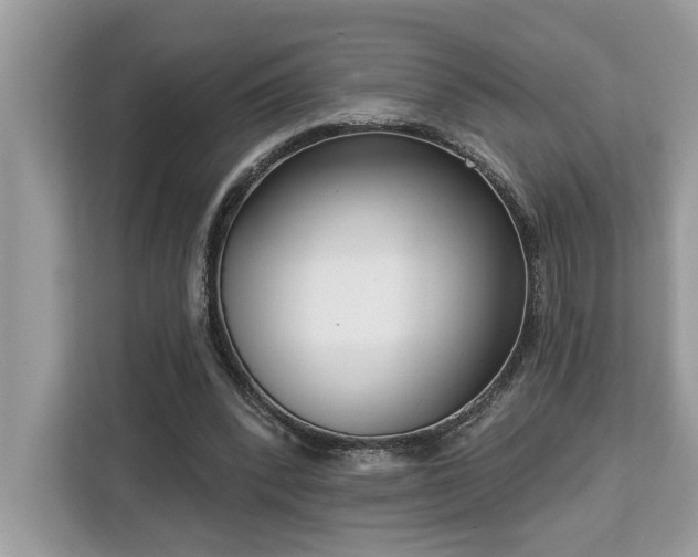 X0000113100392200908281352