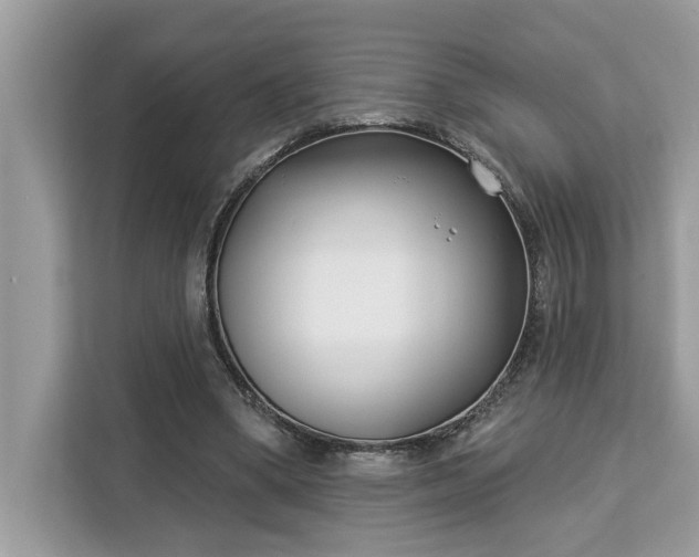 X0000113100394200908281352