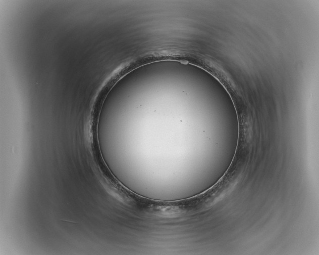 X0000113100395200908281352