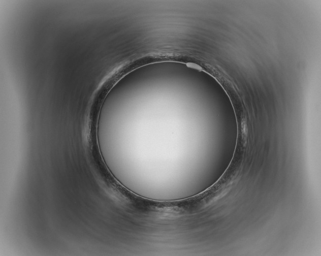 X0000113100396200908281352