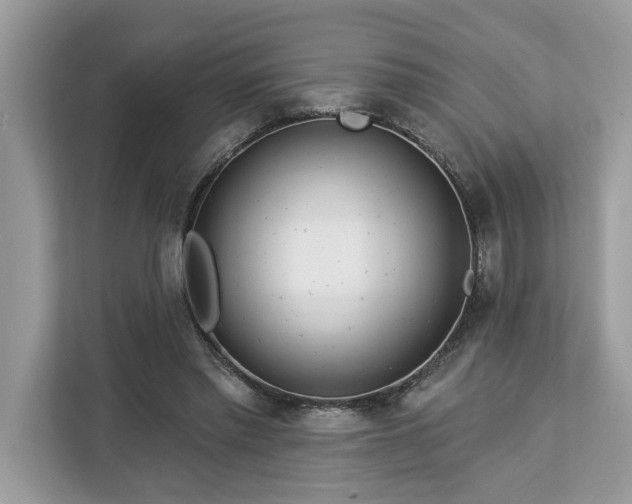 X0000113100397200908281352