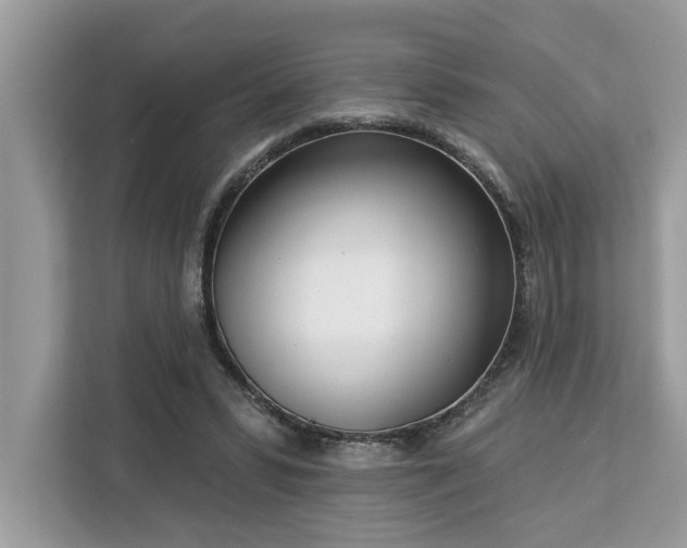X0000113100399200908281352