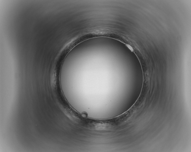 X0000113100400200908281352