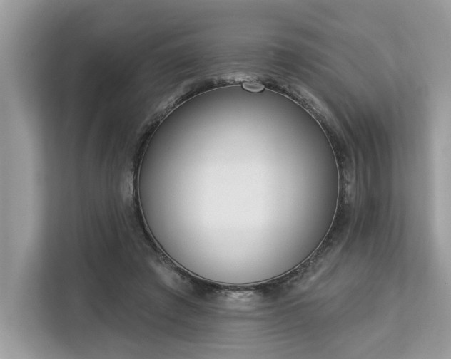 X0000113100401200908281352
