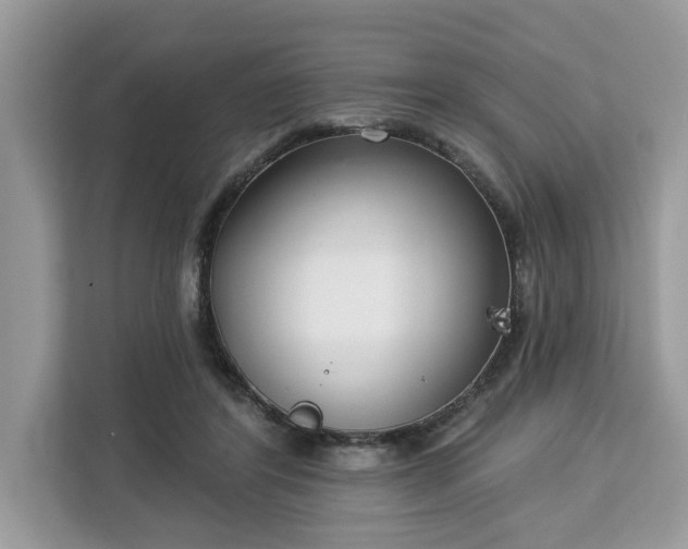 X0000113100404200908281352