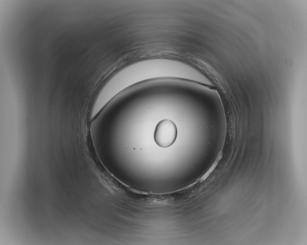 X0000113100405200908281352