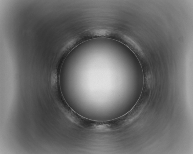 X0000113100407200908281352