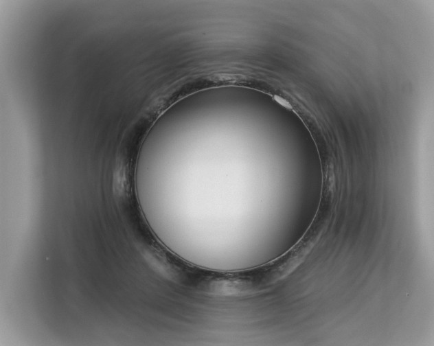 X0000113100408200908281352
