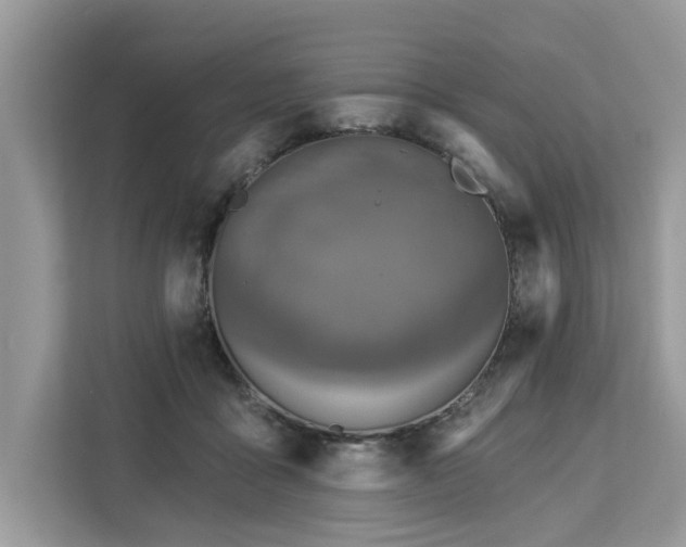X0000113100411200908281352