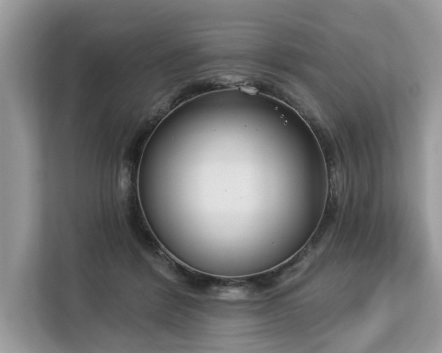 X0000113100412200908281352