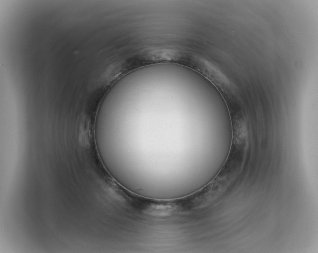X0000113100414200908281352