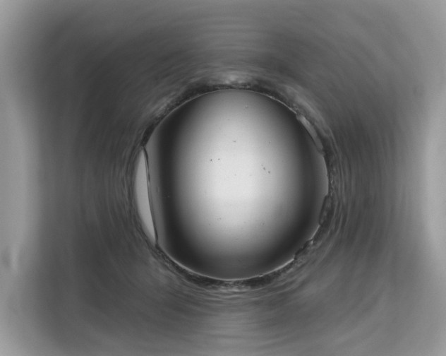 X0000113100415200908281352