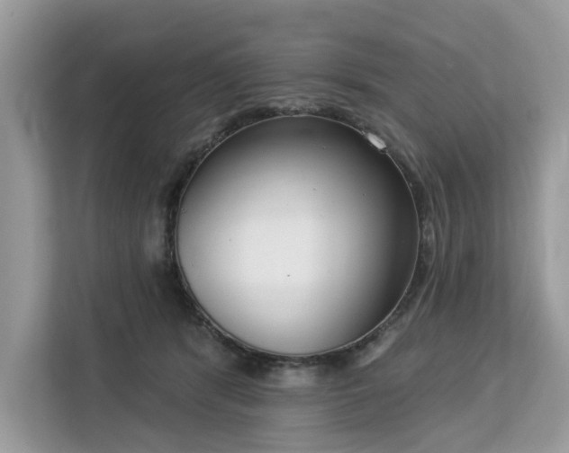 X0000113100416200908281352