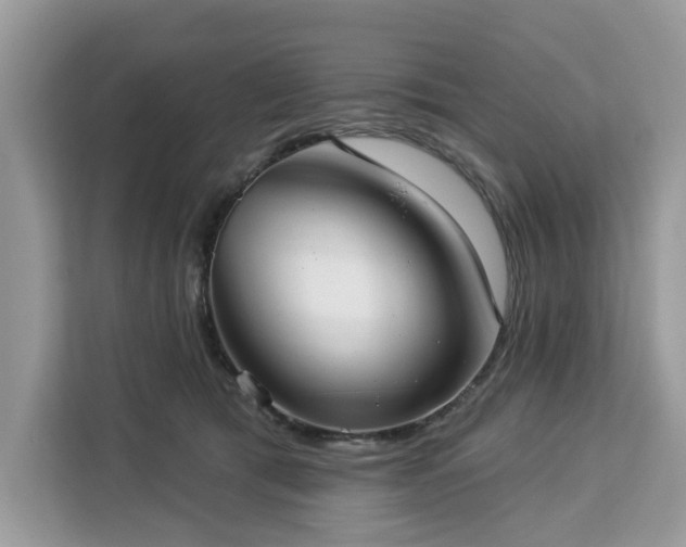 X0000113100417200908281352