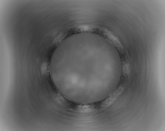 X0000113100419200908281352