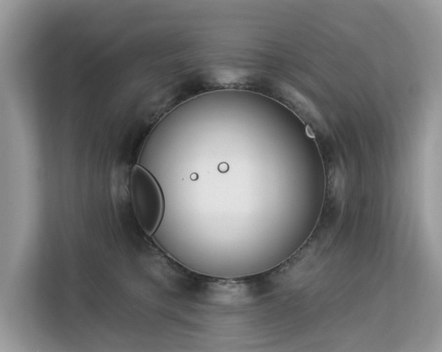X0000113100421200908281352