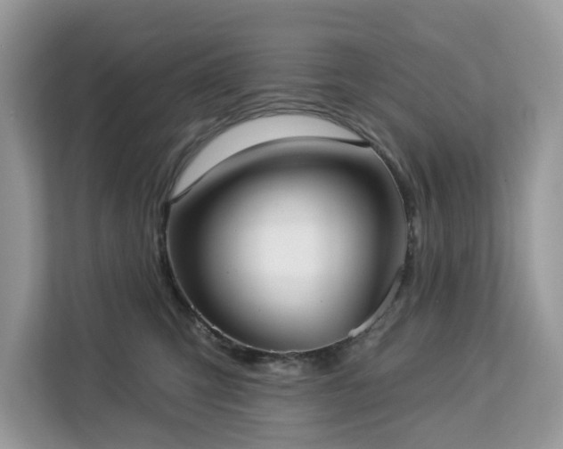 X0000113100423200908281352