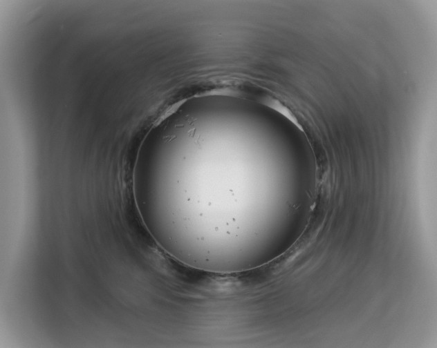 X0000113100424200908281352