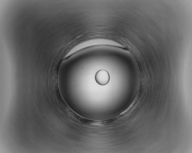 X0000113100425200908281352