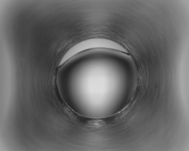 X0000113100427200908281352