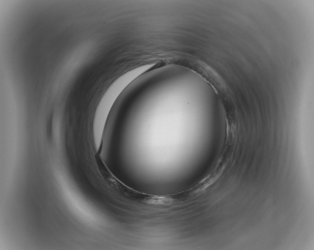 X0000113100429200908281352