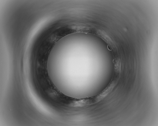 X0000113100430200908281351