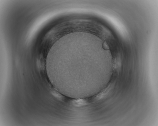 X0000113100431200908281351