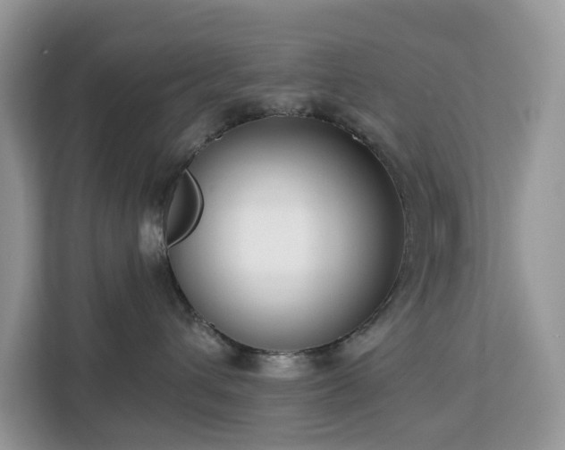 X0000113100432200908281351