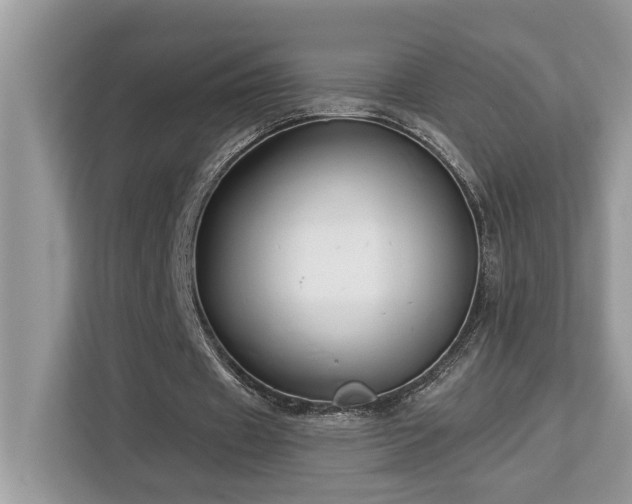 X0000113100433200908281351