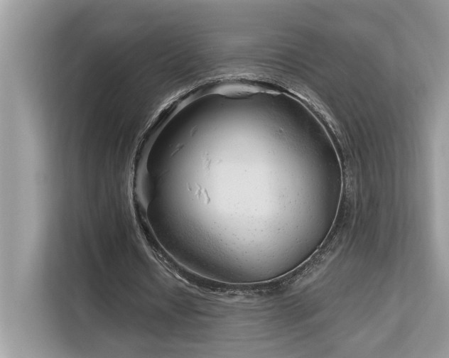 X0000113100434200908281351
