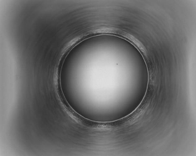 X0000113100437200908281351