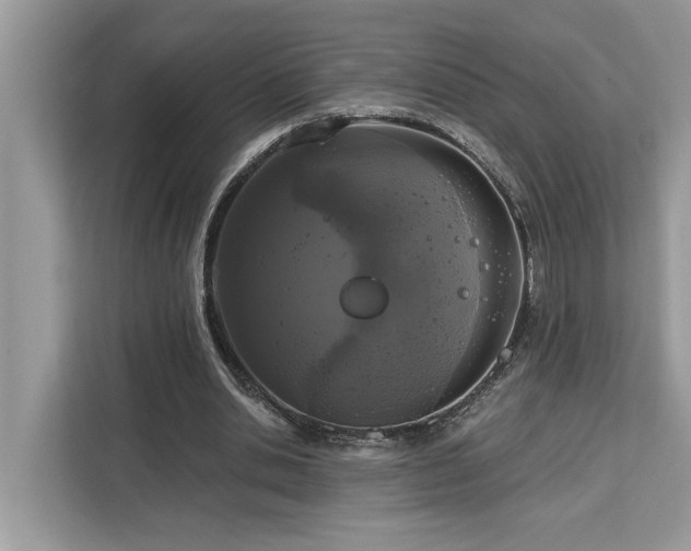 X0000113100438200908281351