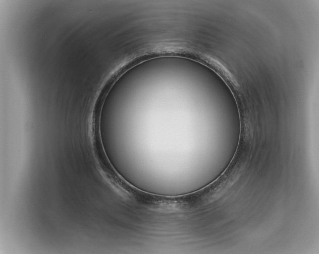 X0000113100439200908281351
